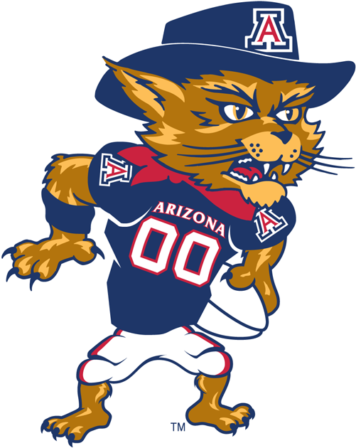 Arizona Wildcats 2003-Pres Mascot Logo v4 iron on transfers for T-shirts